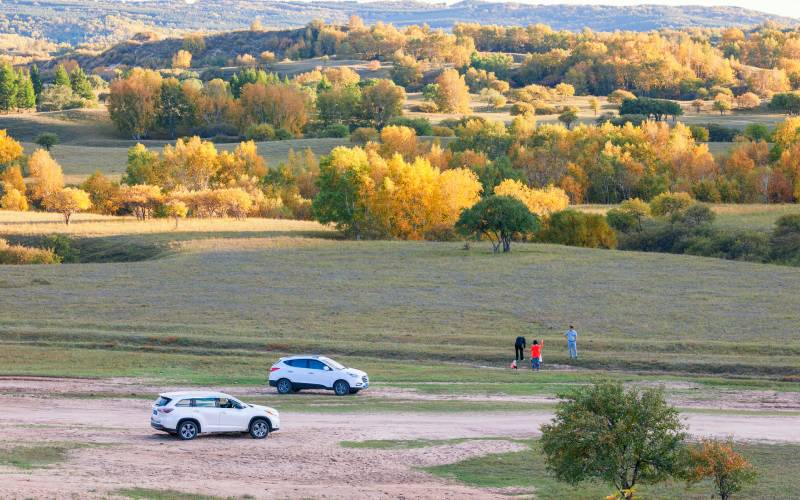 家庭自驾游品质体验